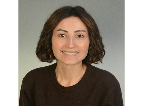 Dr. Öğr. Üyesi Seher KÖKSALDI KAYABAŞI