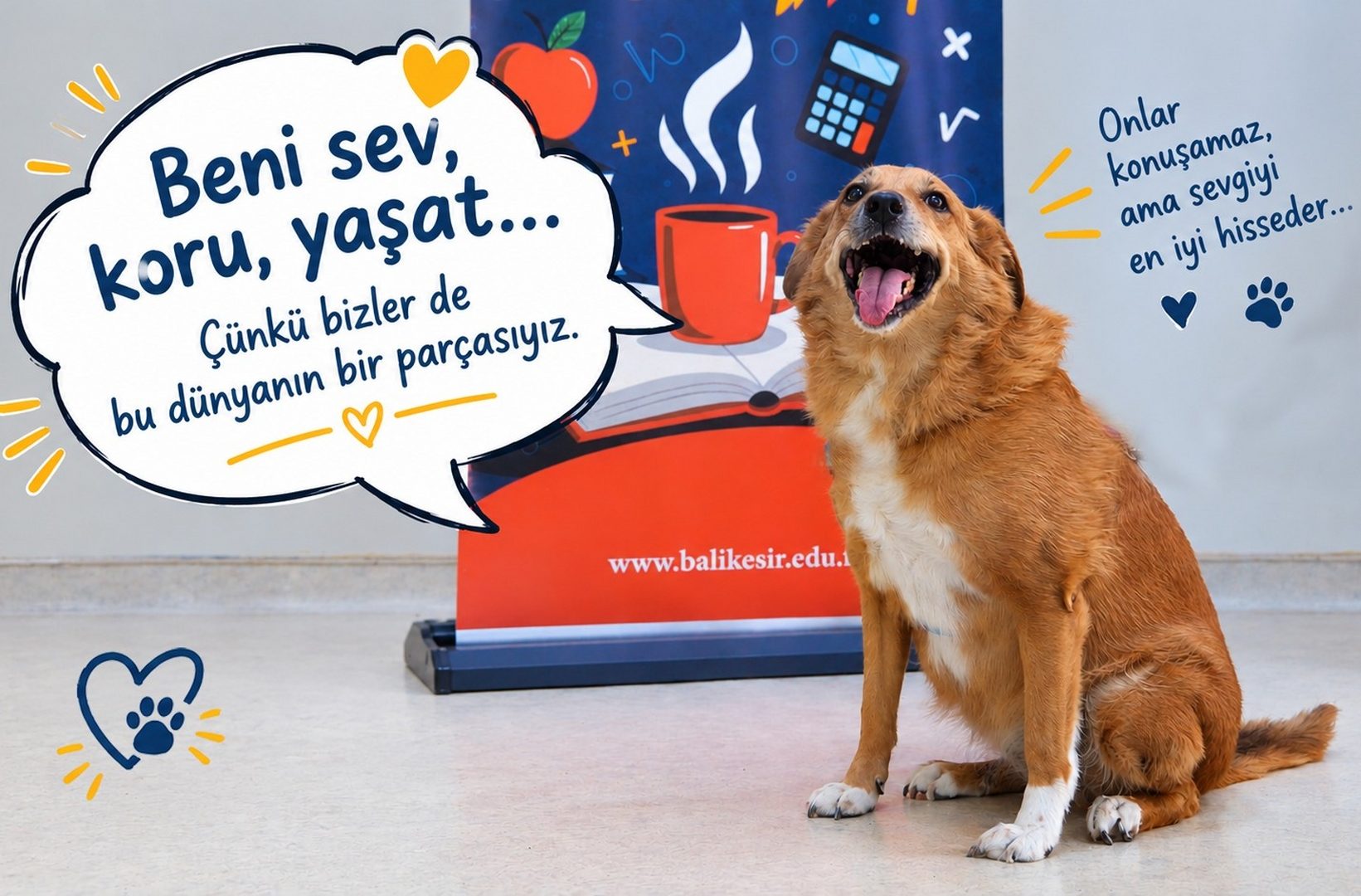BAÜN Bilim Kafe’de Küçük Hayvanseverler Veteriner Hekimliği Yakından Tanıdı 14