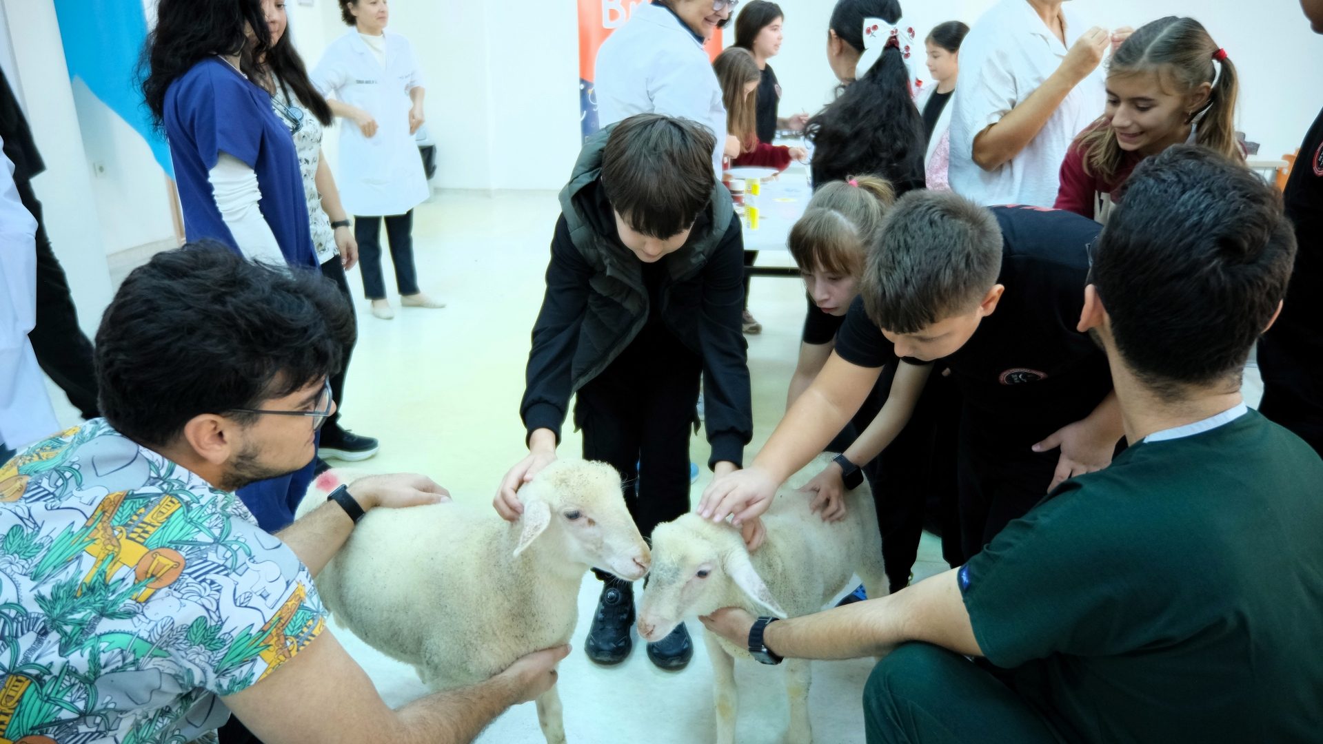 BAÜN Bilim Kafe’de Küçük Hayvanseverler Veteriner Hekimliği Yakından Tanıdı 10