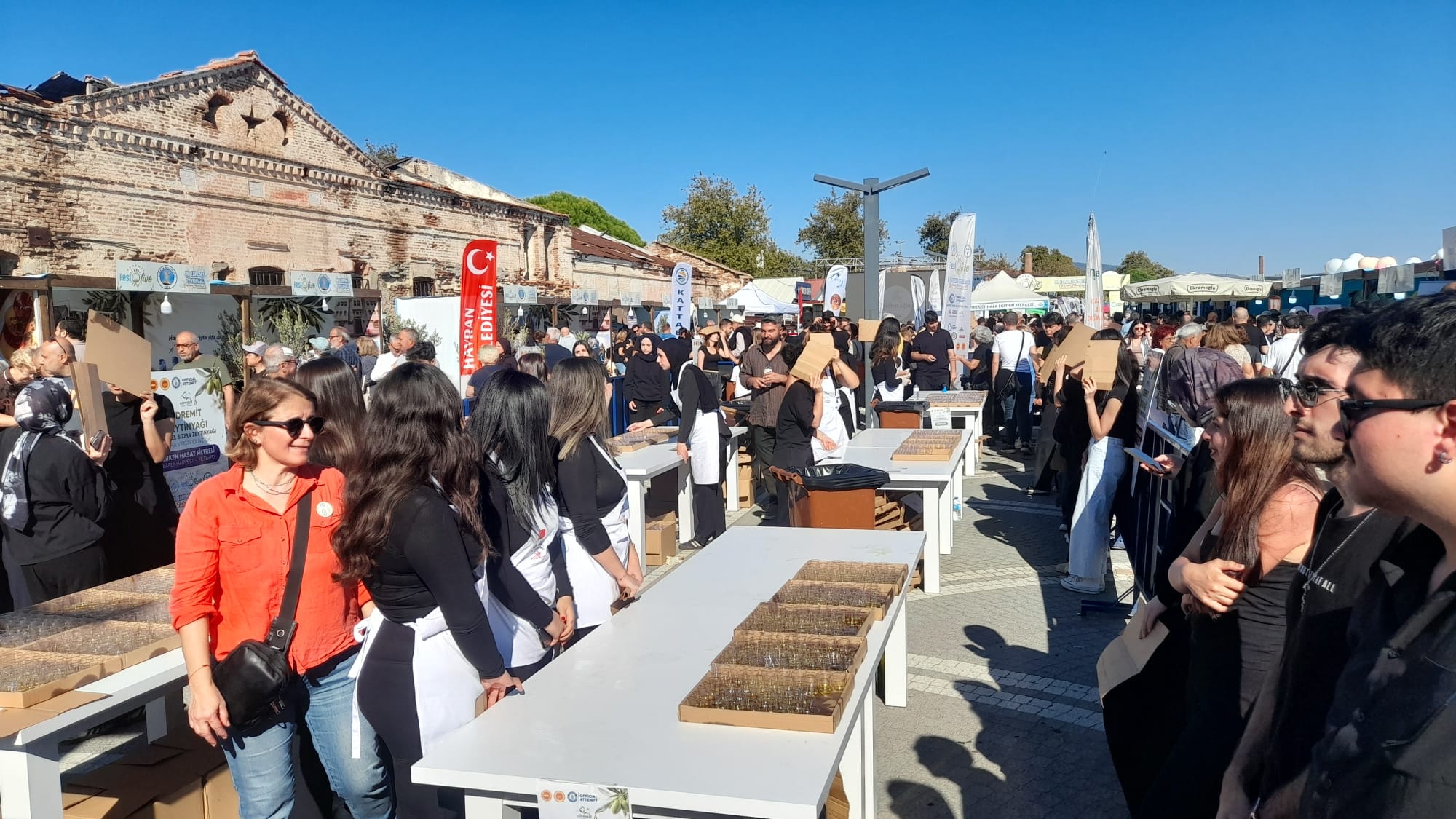 III. Festolive Edremit Zeytinyağı Tadım Festivali’ne Öğrencilerimizden Anlamlı Destek 4