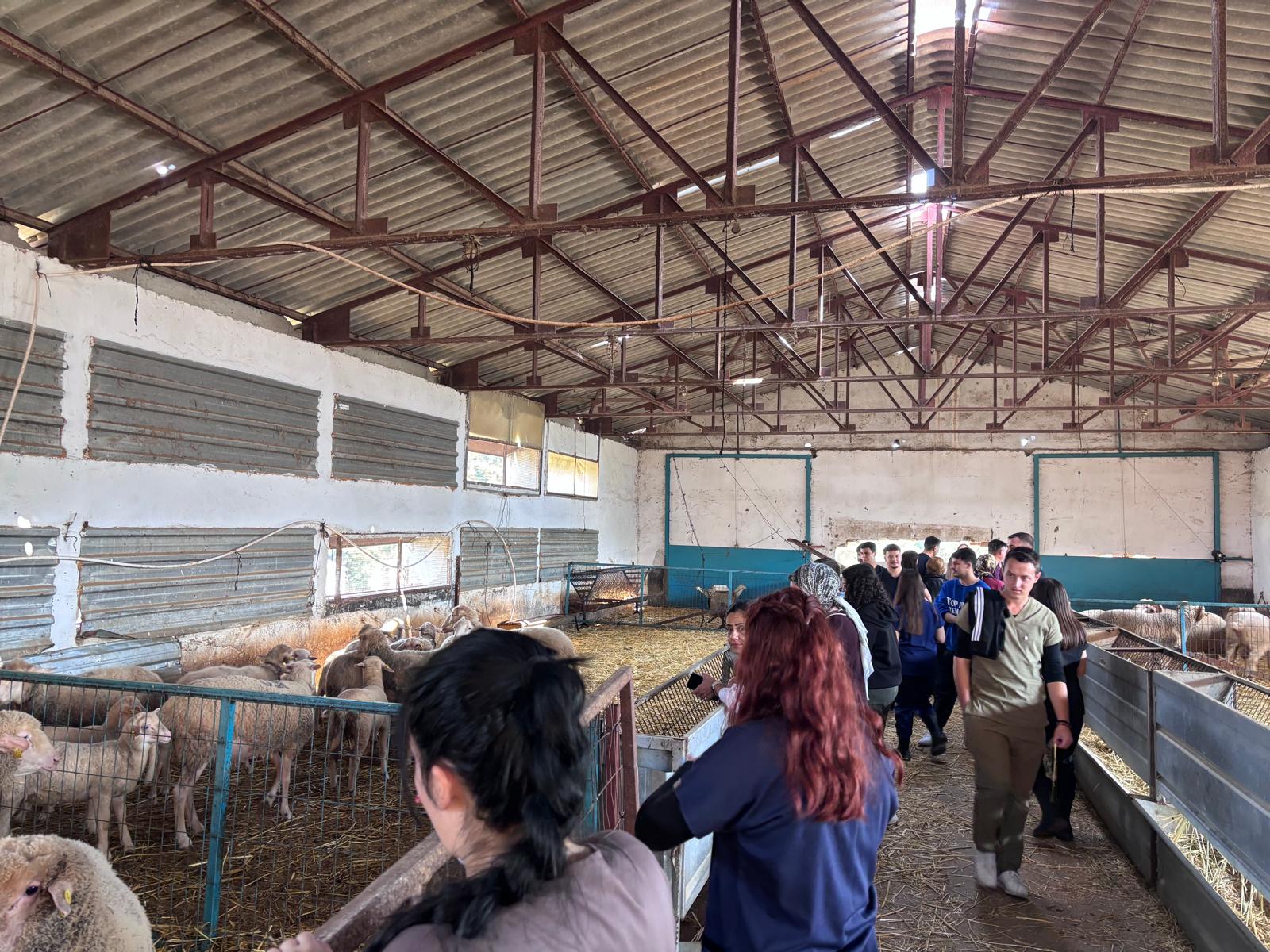 Laborant ve Veteriner Sağlık Programı olarak Uygulama ve Araştırma Çiftliğine teknik gezi gerçekleştirildi. 3