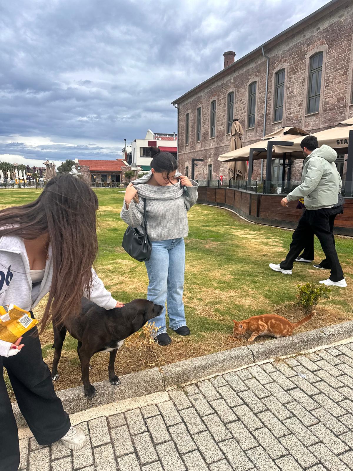 Ayvalık MYO Öğrencilerinden Sokak Hayvanlarına Destek 4