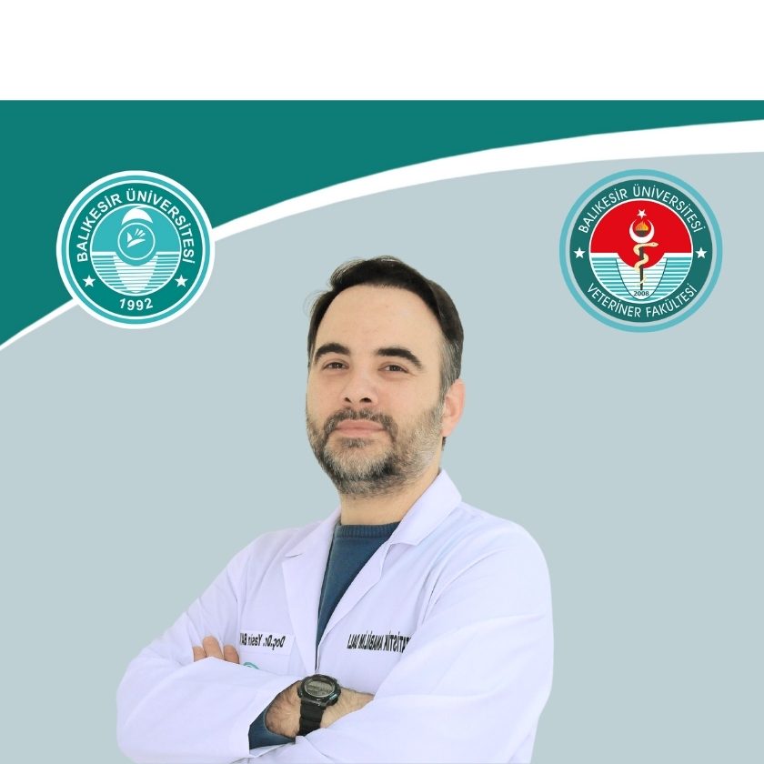 Yasin BAYKALIR