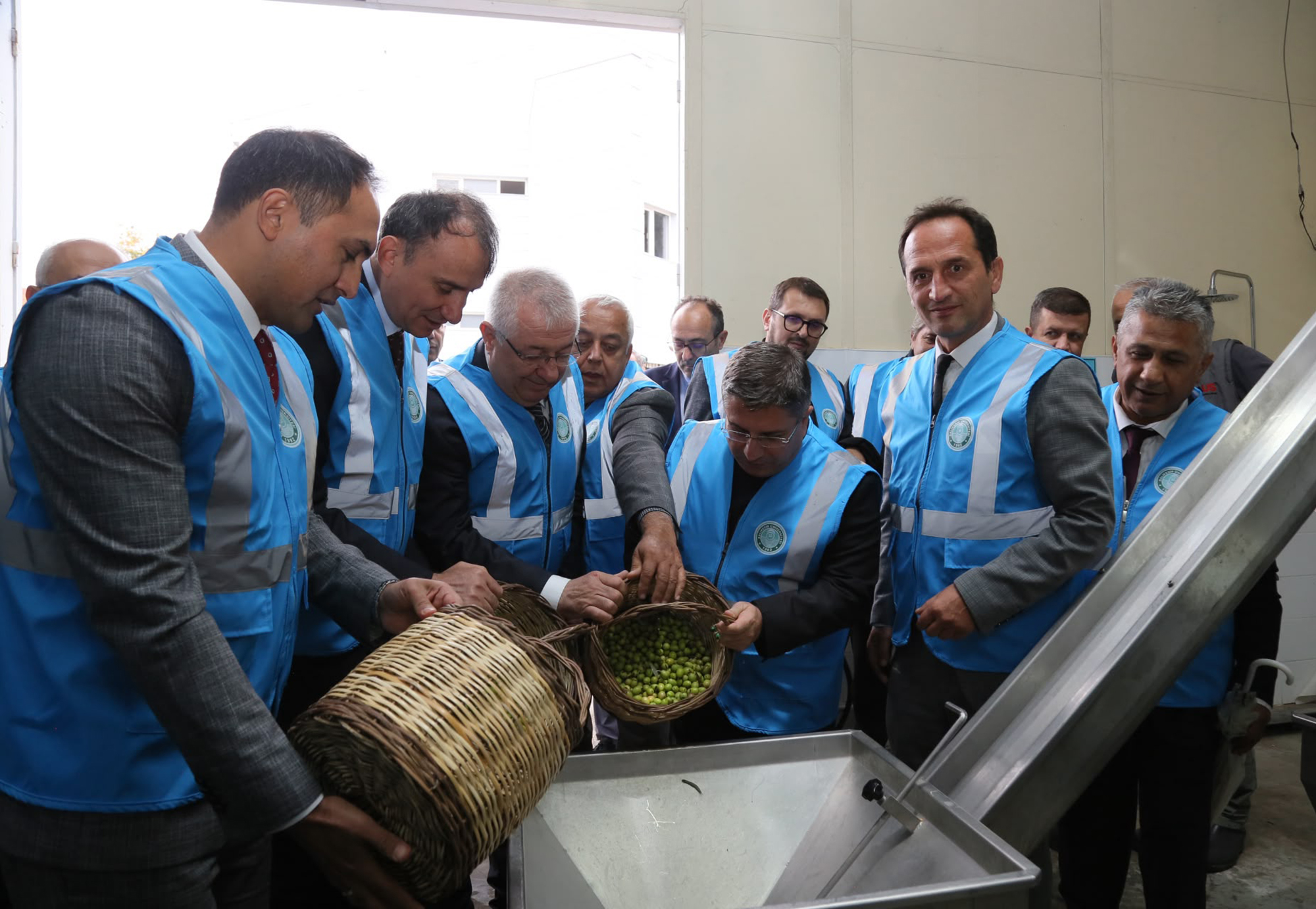 Balıkesir Üniversitesinde I. Akademik Zeytin Hasat Şenliği Düzenlendi 5