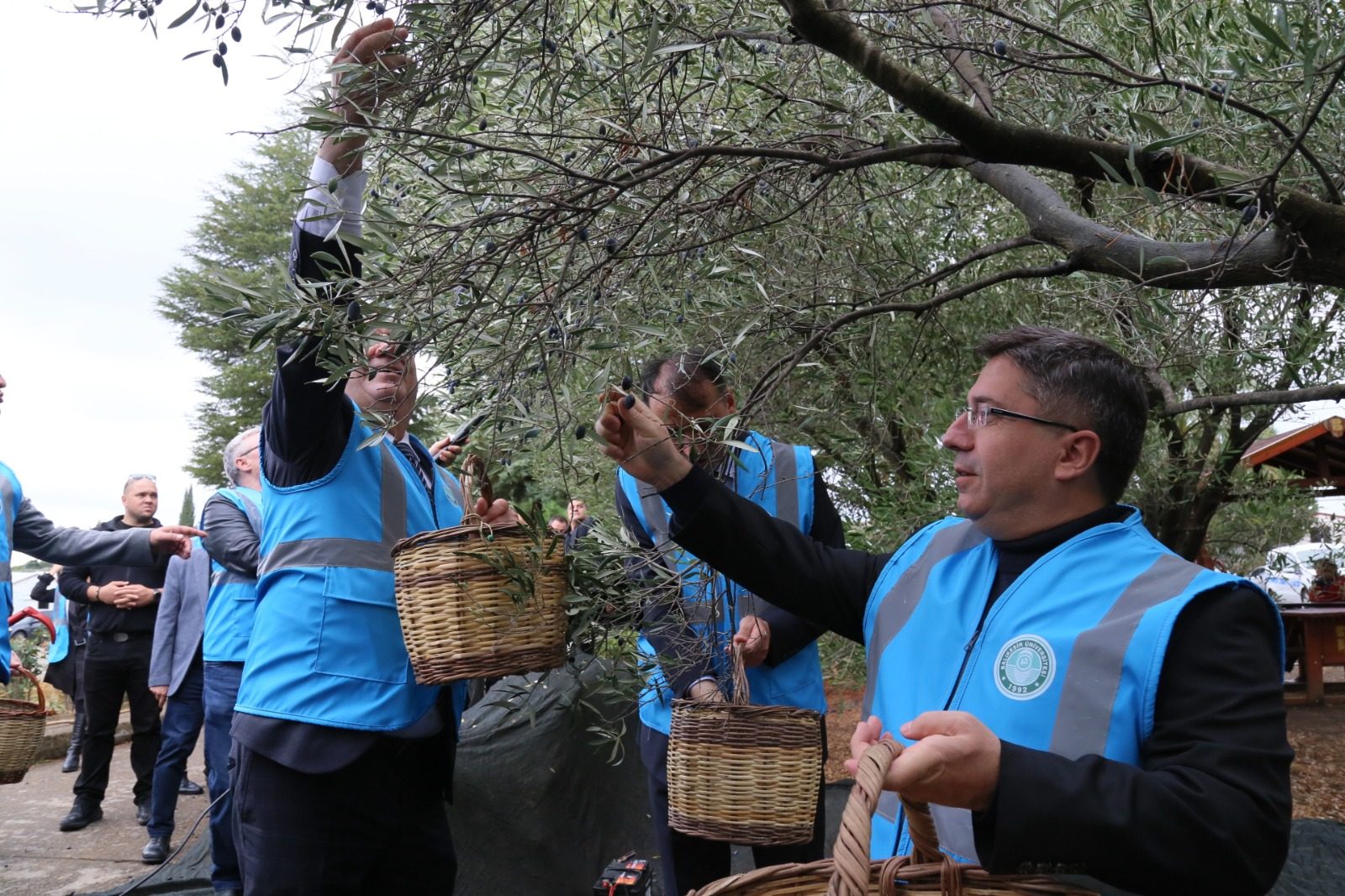 The 1st Academic Olive Harvest Festival was held with high participation at Balıkesir University 11