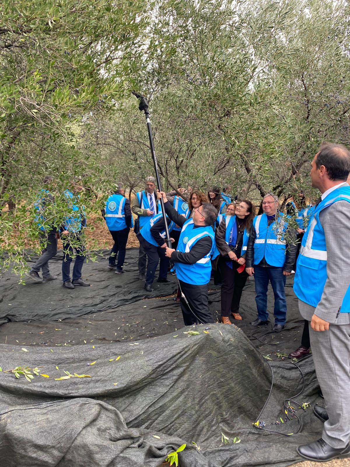 The 1st Academic Olive Harvest Festival was held with high participation at Balıkesir University 26