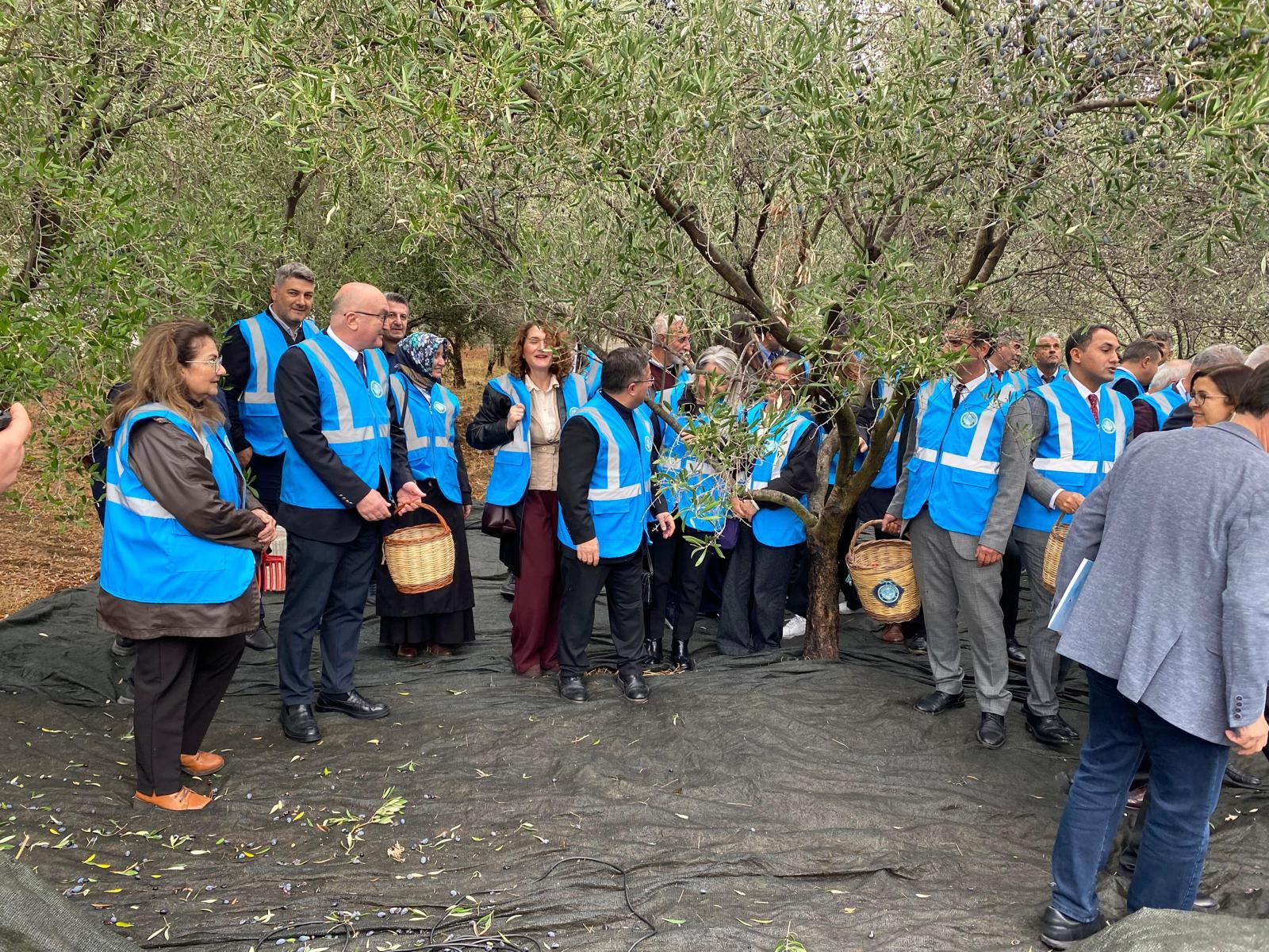 The 1st Academic Olive Harvest Festival was held with high participation at Balıkesir University 27