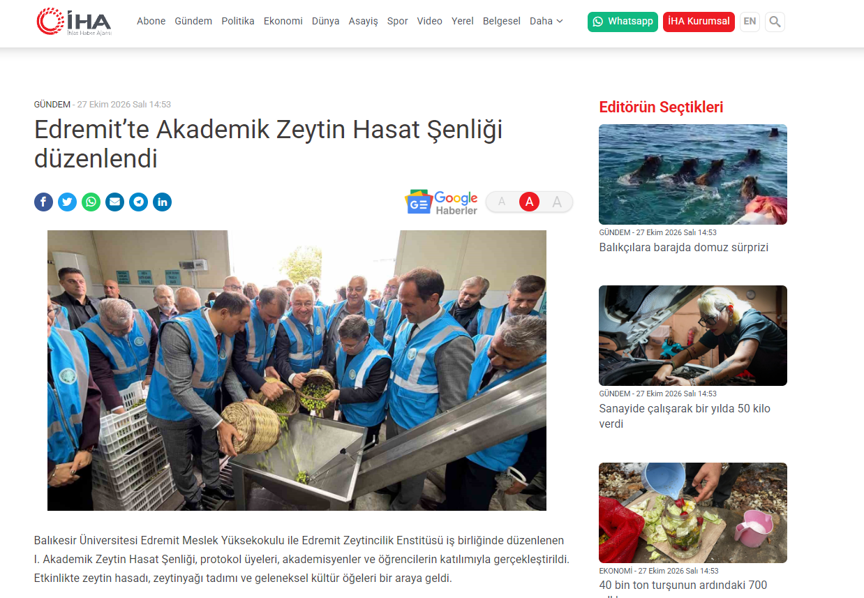 Edremit’te Akademik Zeytin Hasat Şenliği düzenlendi